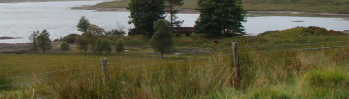 sheep fence, Scotland, 2010